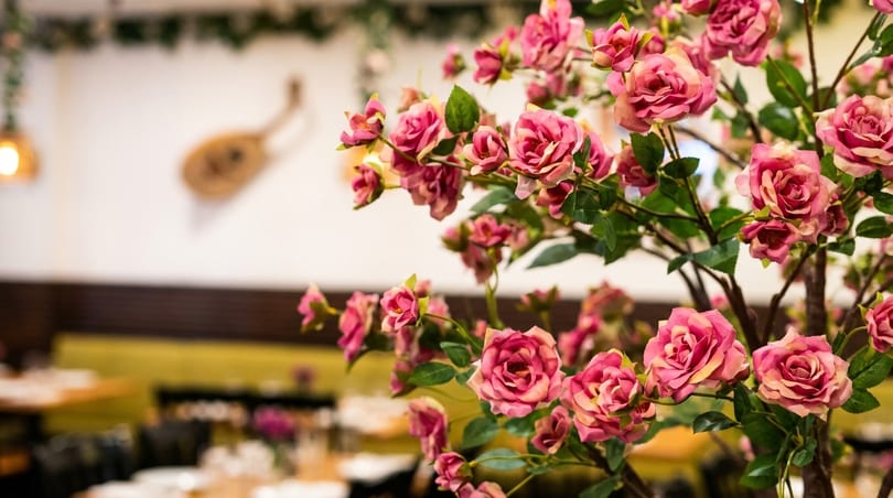 Pink roses in the foreground, with a blurred restaurant interior and an oud on the wall.